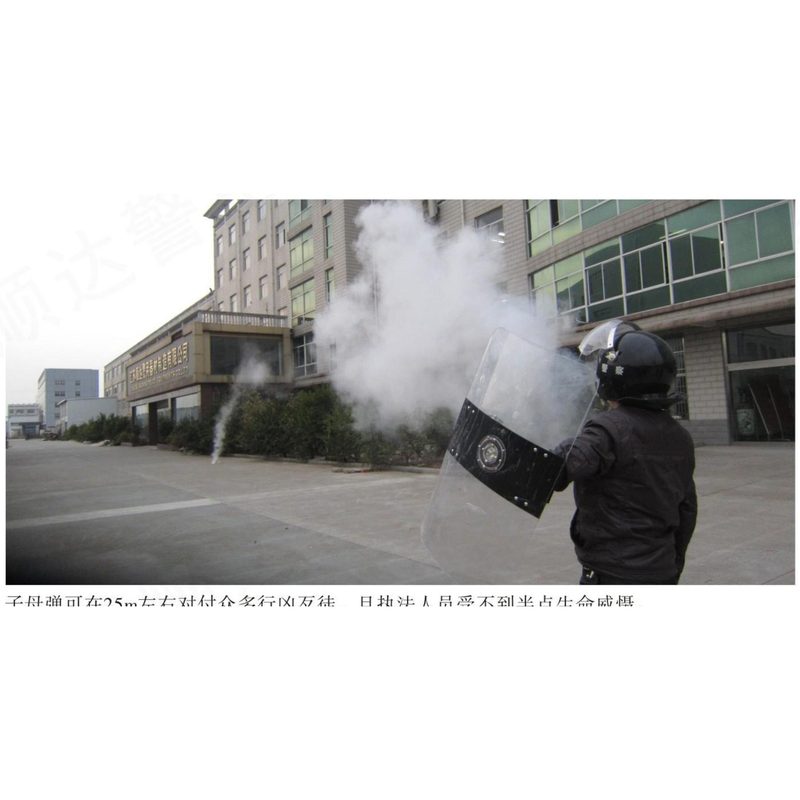 臂式防暴盾牌（系列）