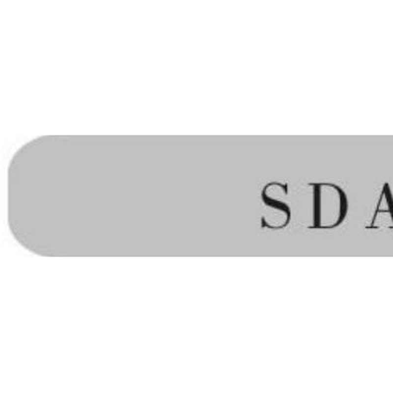 DSD-160ZBD(SDAB-A1)型微电脑远射防身器